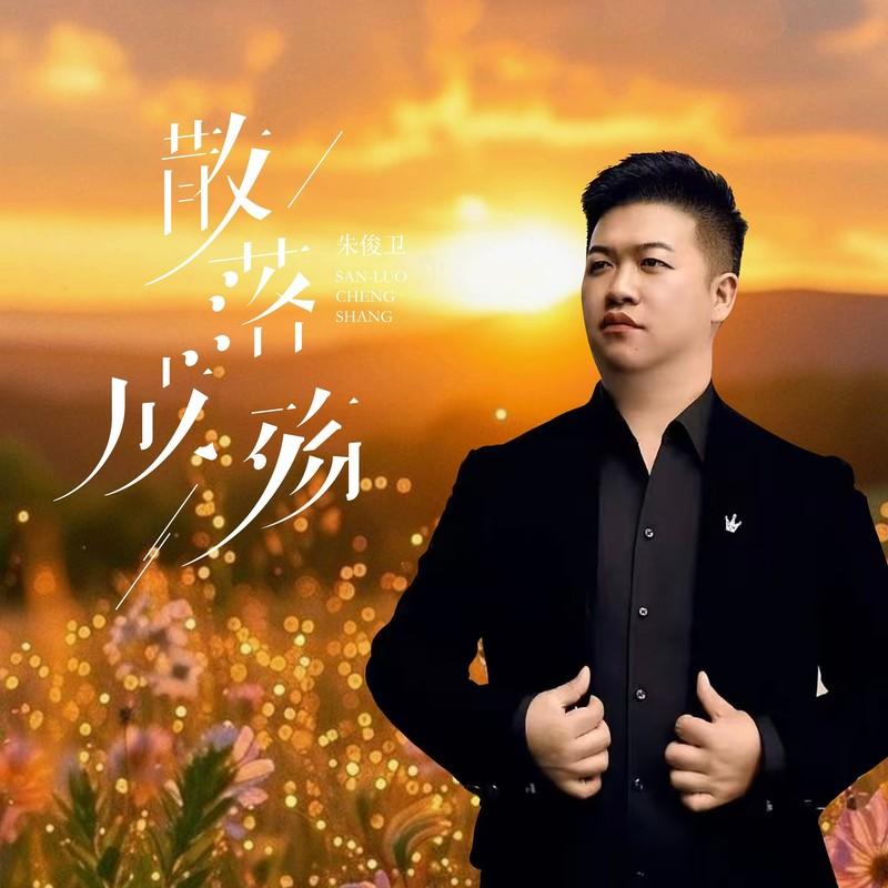 散落成殇 (DJ长梦版) - 朱俊卫封面