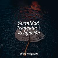 Serenidad Tranquila | Relajación