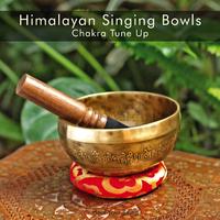 Himalayan Singing Bowls Chakra Tune Up