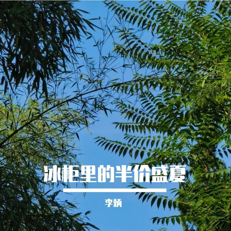 冰柜里的半价盛夏 - 李炳封面