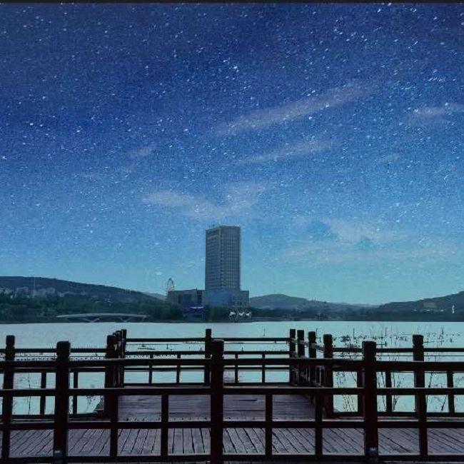 黑夜的秘密封面