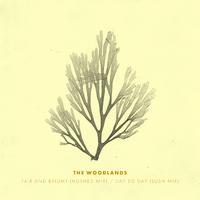 Fair and Bright (Hushed Mix) / Day to Day (Lush Mix)