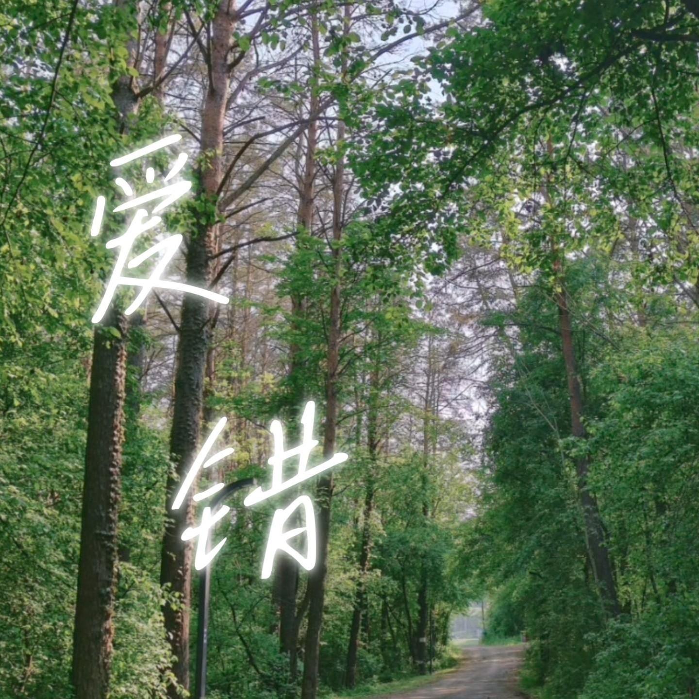 爱错 (R&B版)封面