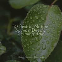 50 Best of Nature Sounds: Deeply Calming Rain