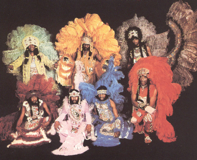 The Wild Magnolias