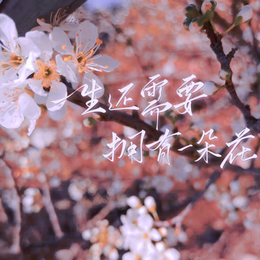 一生还需要拥有一朵花封面