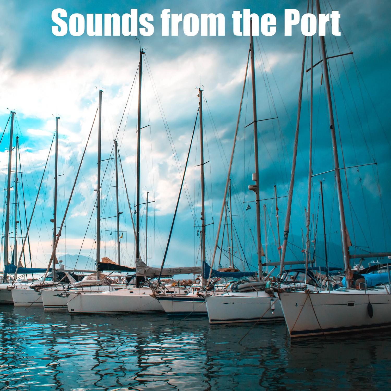 song-img