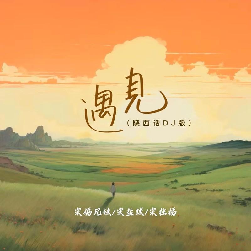 遇见(DJ版)封面