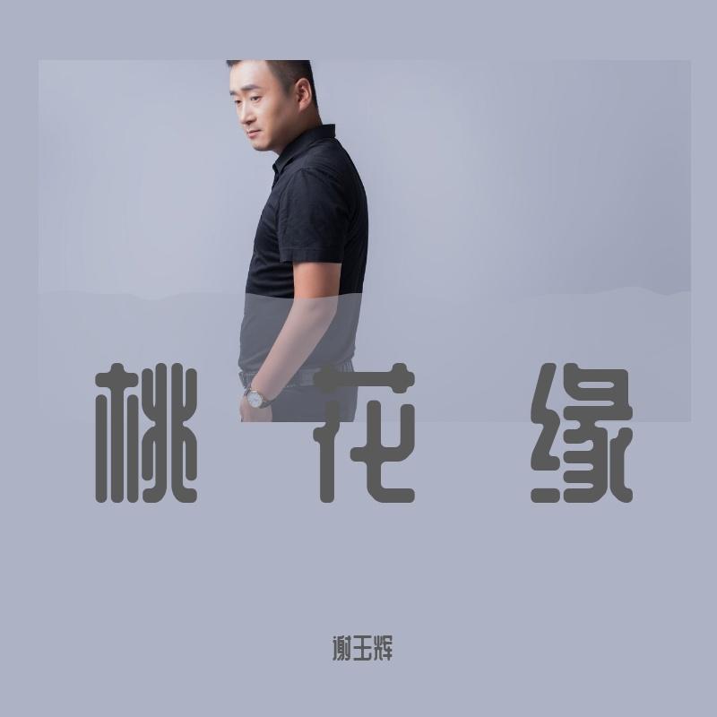 海来阿木-桃花缘-谢玉辉(Remix)封面