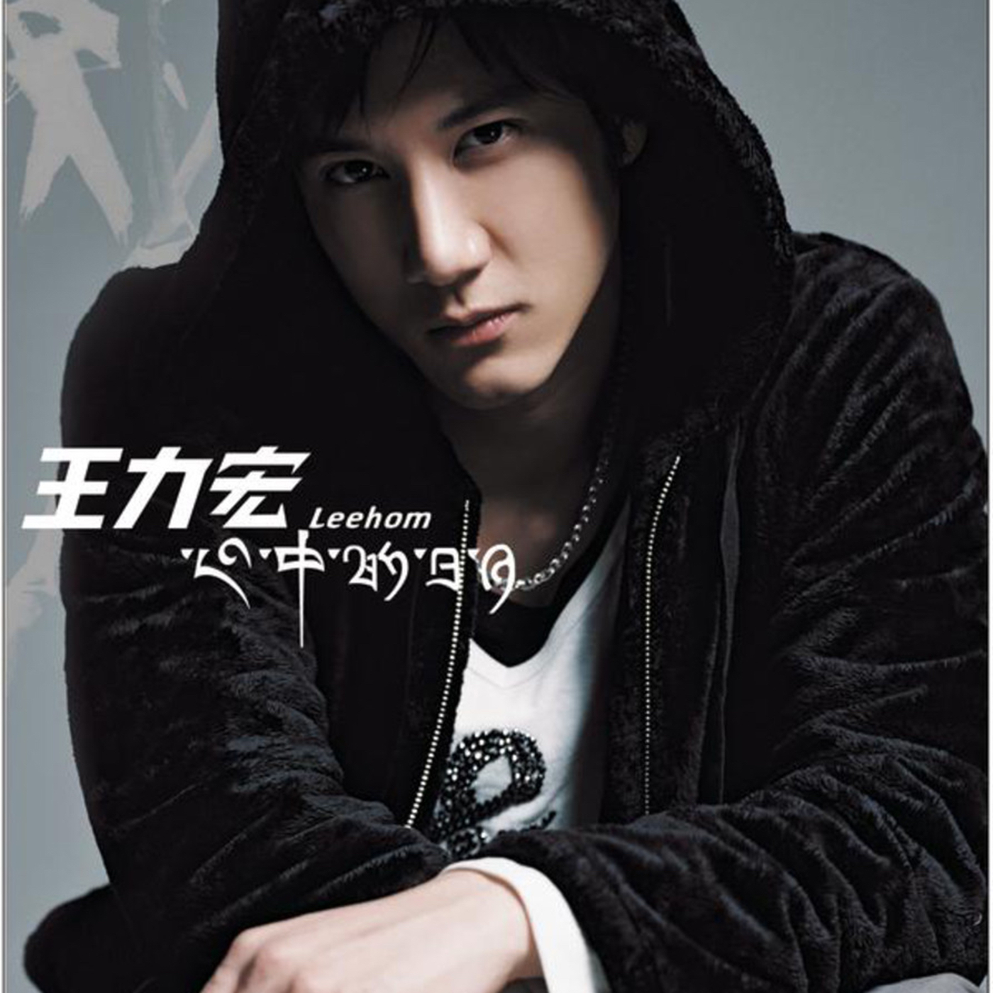 心中的日月 banner