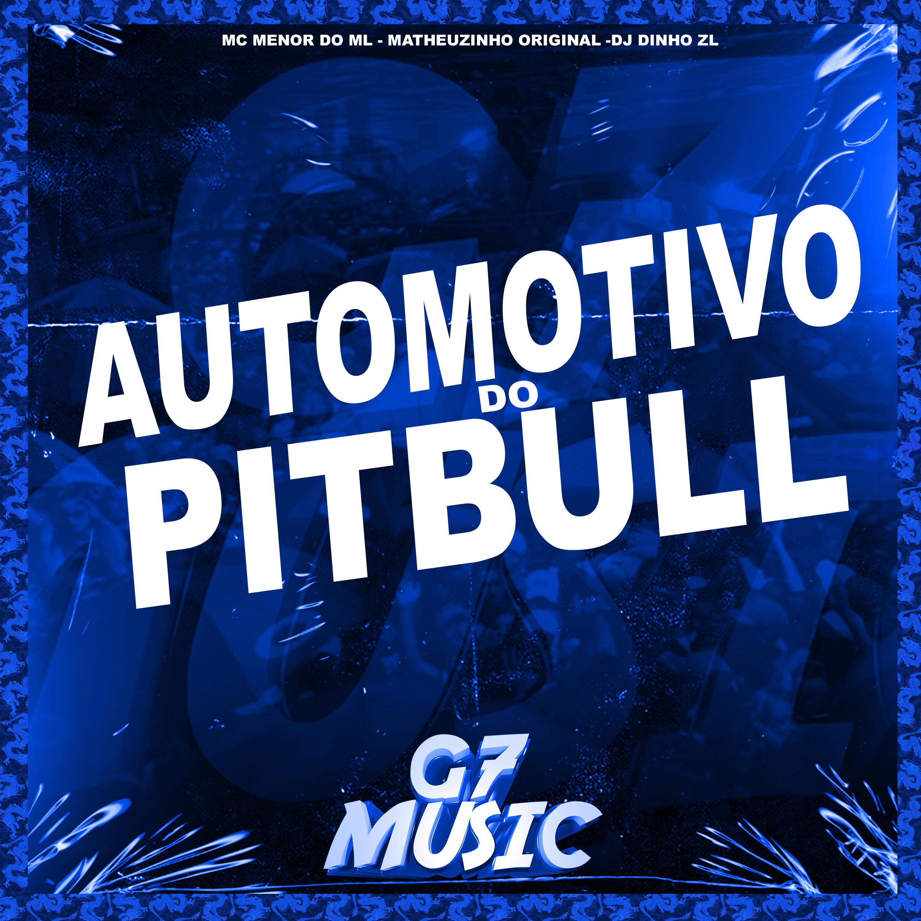 Automotivo do Pitbull