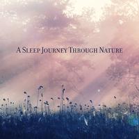 A Sleep Journey Through Nature (Your Comfort Place for Dreaming (Nature Soundscapes))