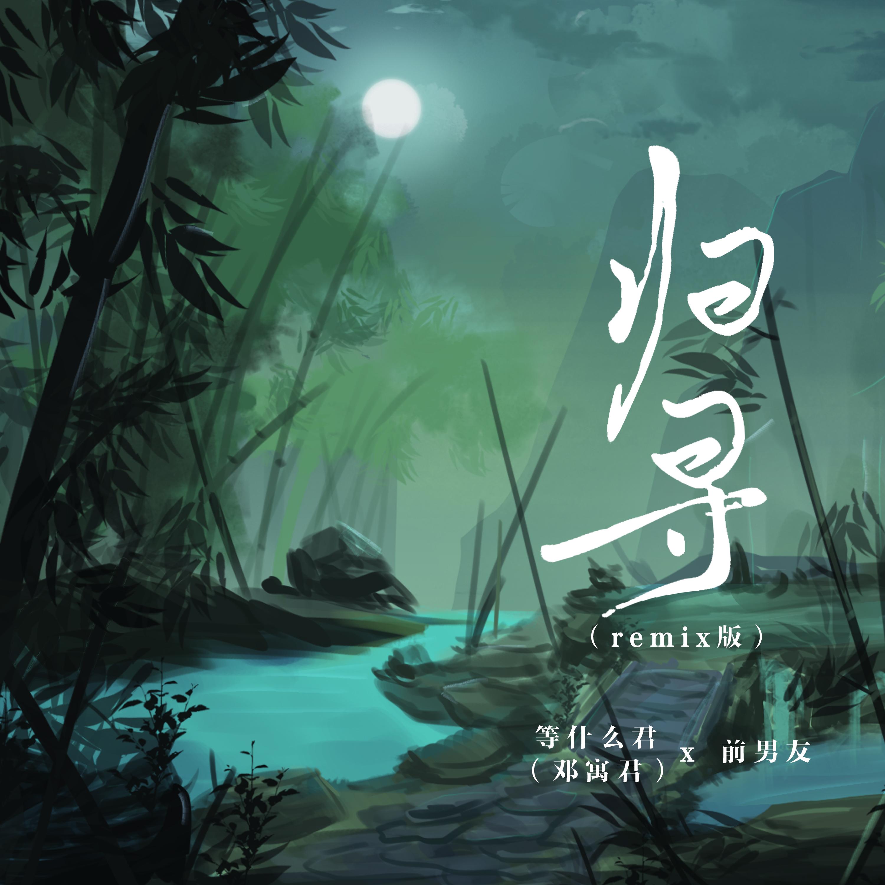 归寻 (Remix)封面