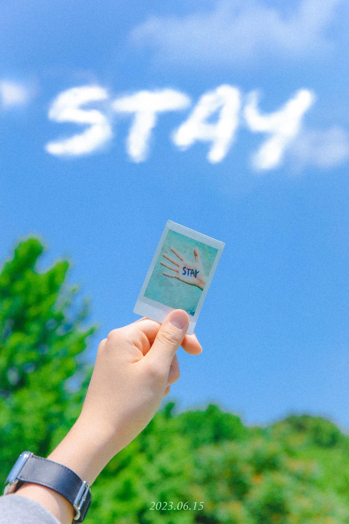 STAY