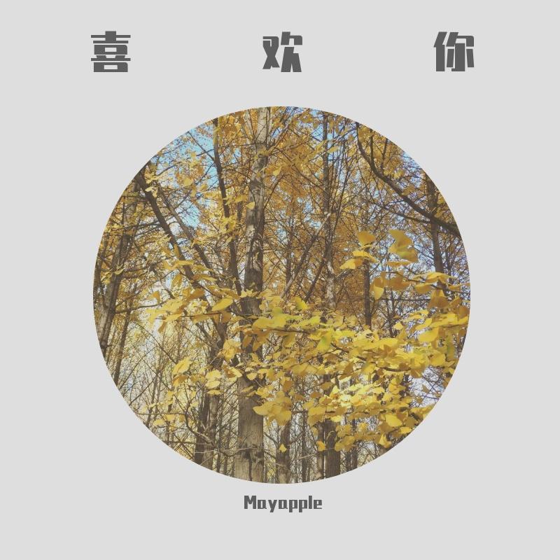 一颗心的距离封面