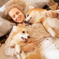 Rainy Night Coziness: Piano for Relaxed Pets