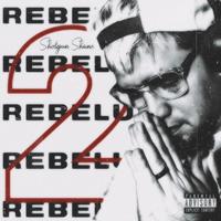 Rebelution 2.0