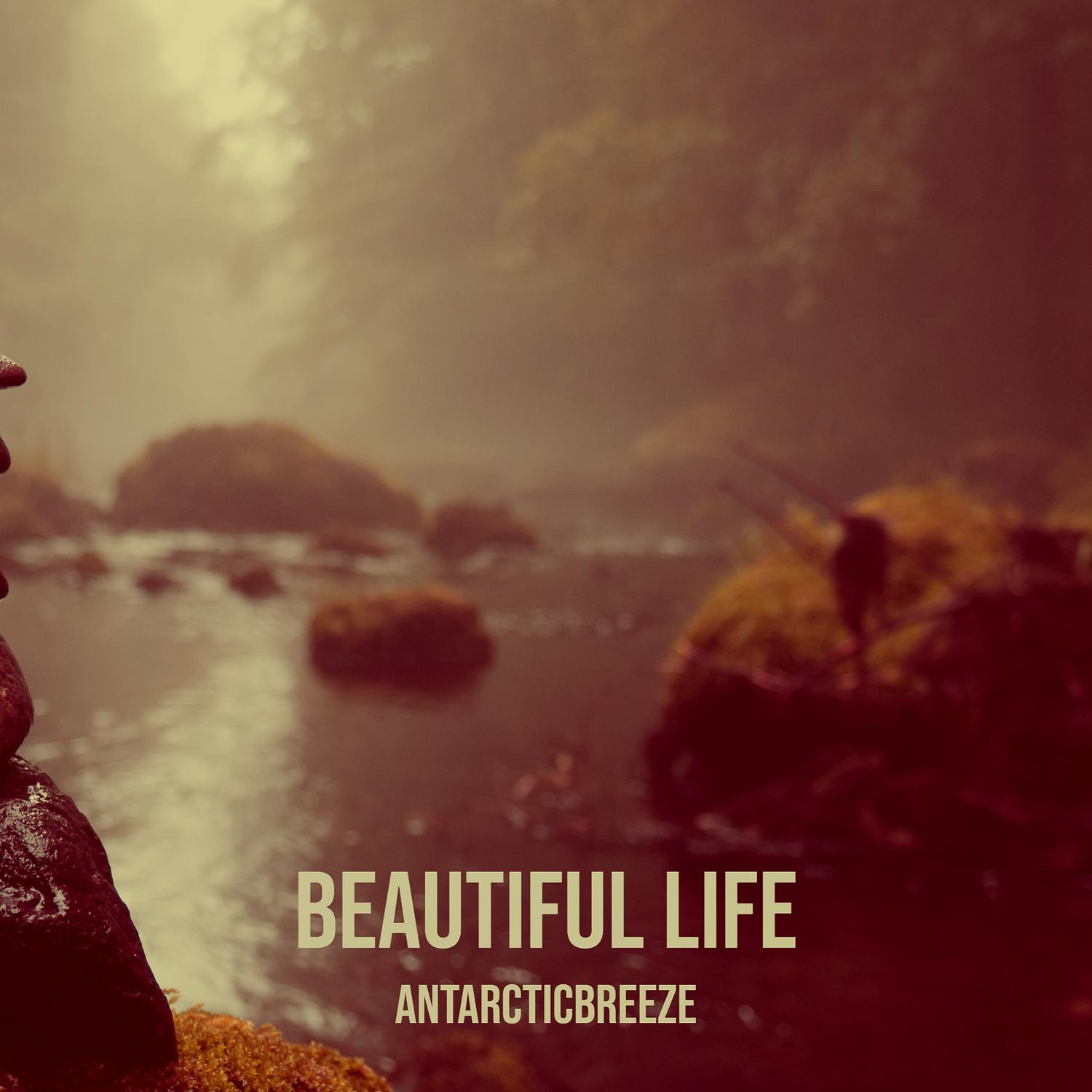 Beautiful Life