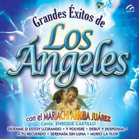 Grandes Éxitos - Los Ángeles Negros