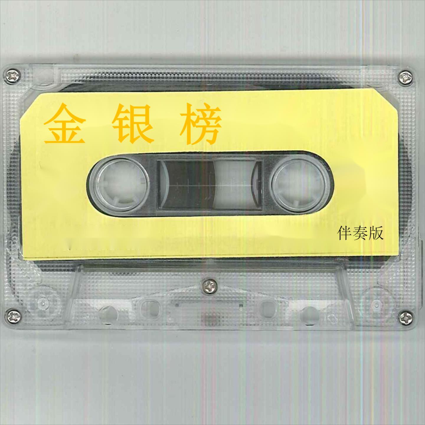 潇洒走一回 (伴奏版)封面