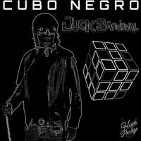 Cubo Negro