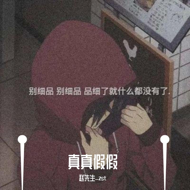 触不到的光 - 赵苏铜封面