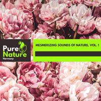 Mesmerizing Sounds of Nature, Vol. 1