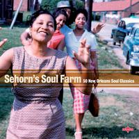 Sehorn's Soul Farm - 50 New Orleans Soul Classics