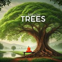 Breath Trees: Ancient Forest Meditation