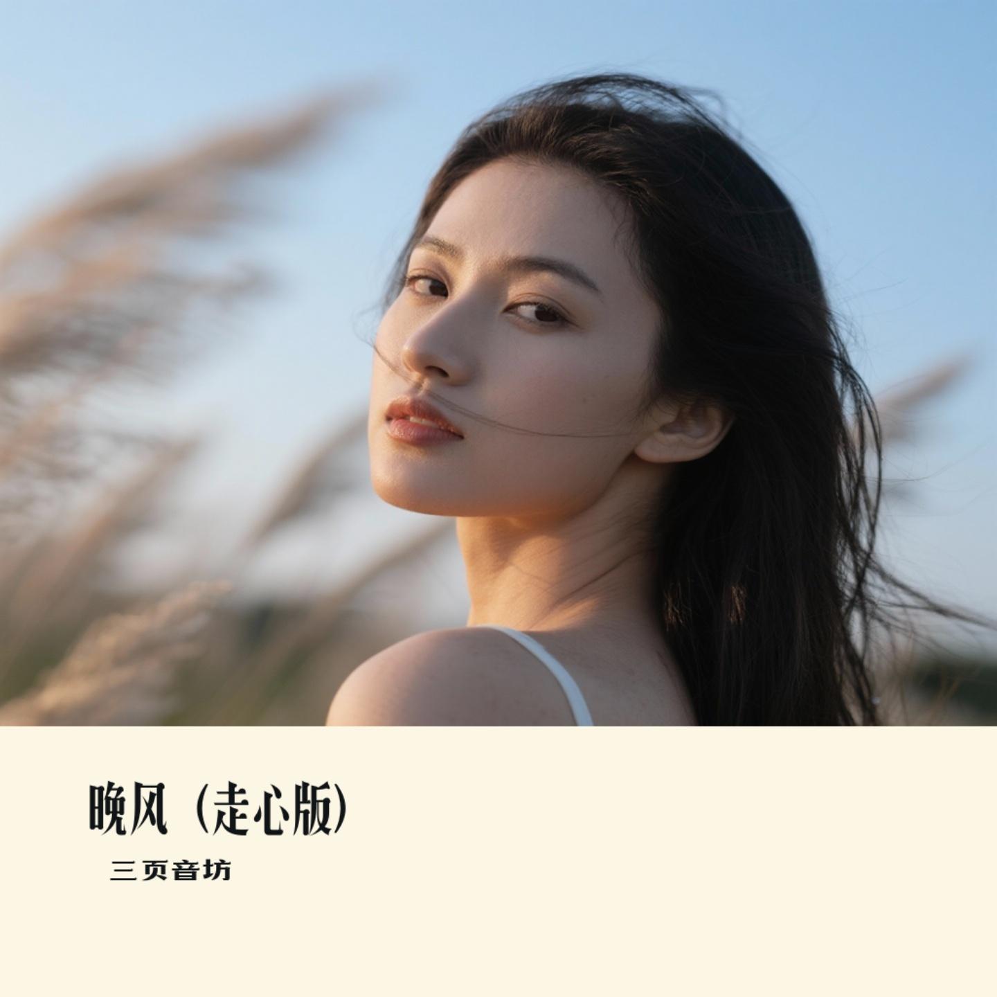 晚风(走心版)(Cover 云南三怪)封面