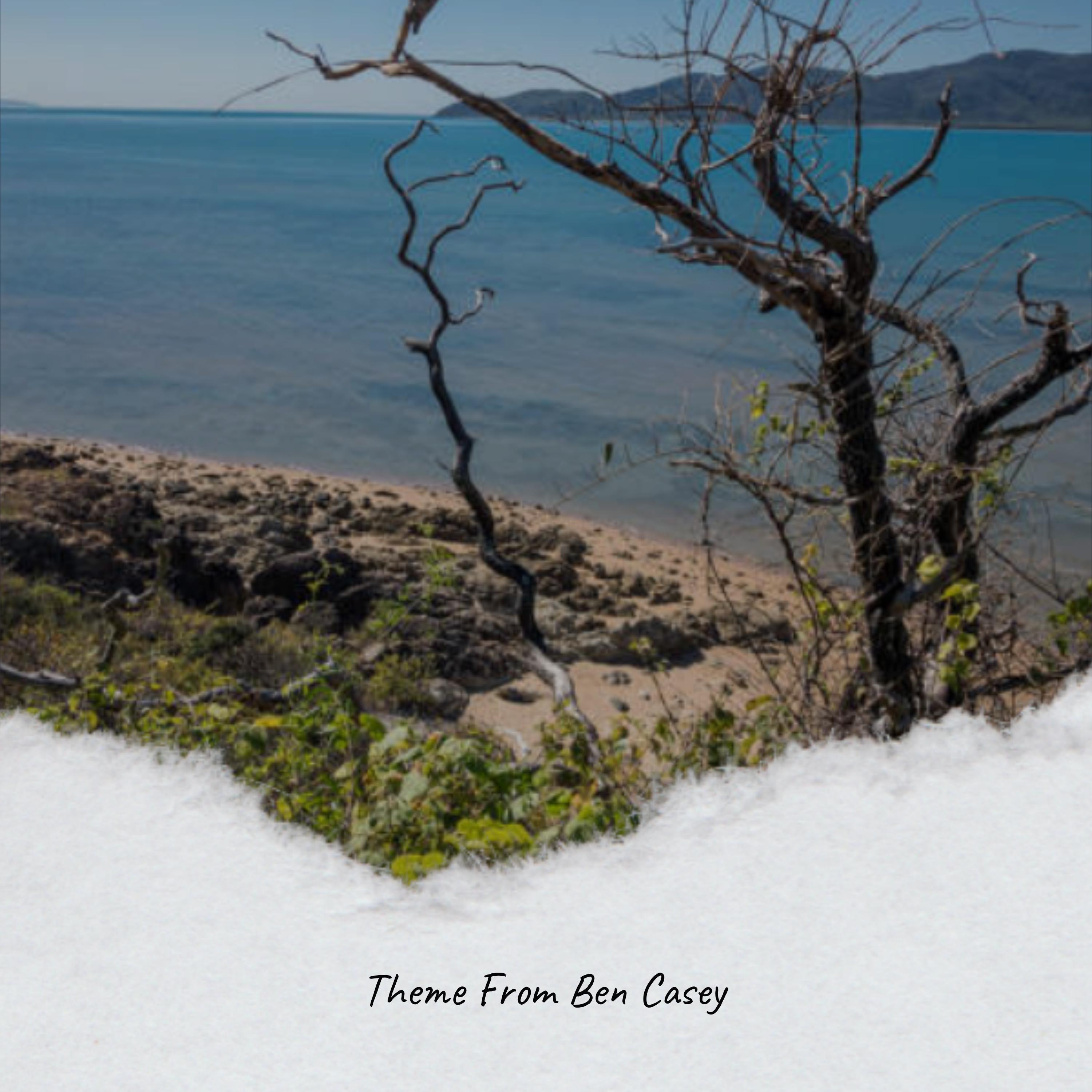 See Ya Round On The Rebound