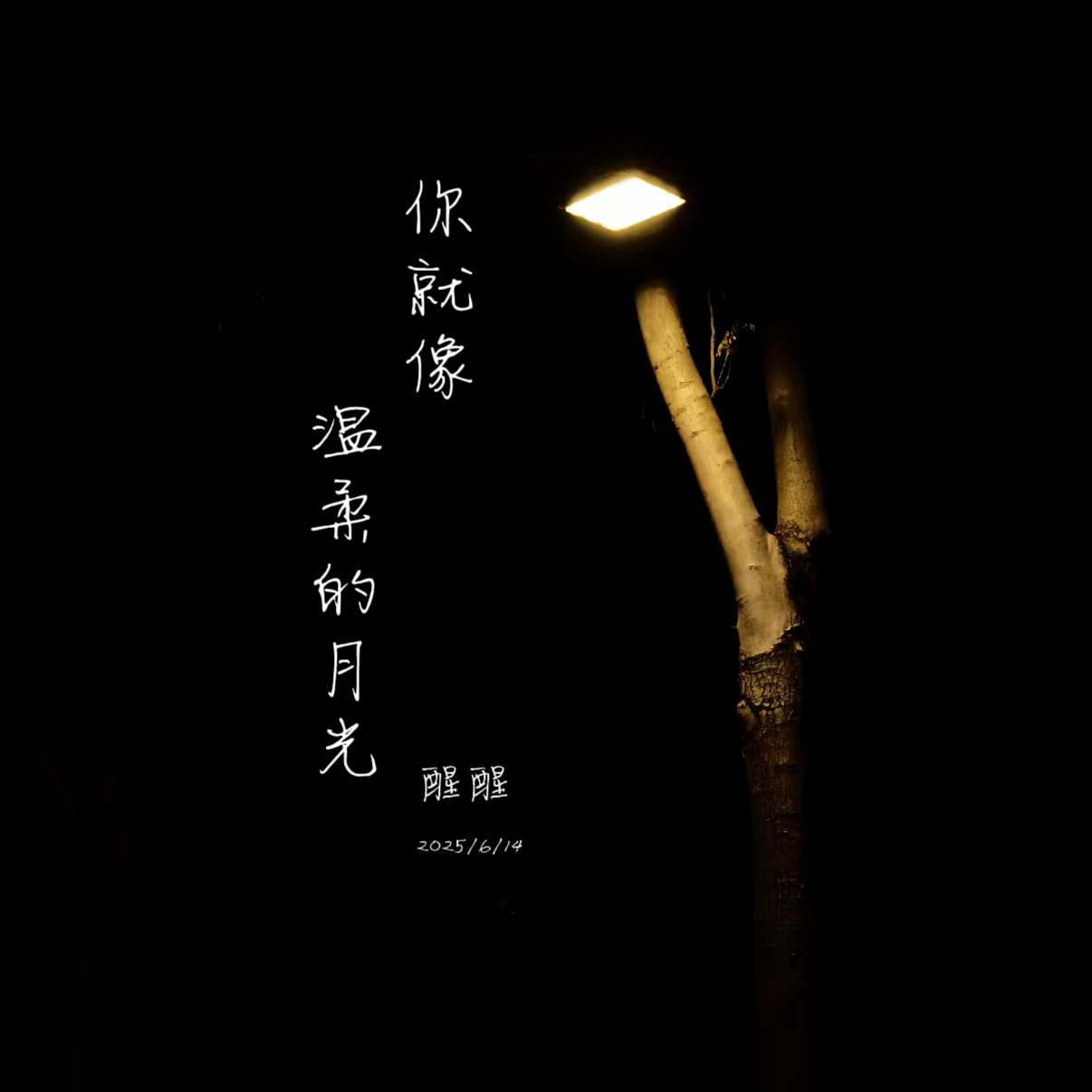 你就像温柔的月光