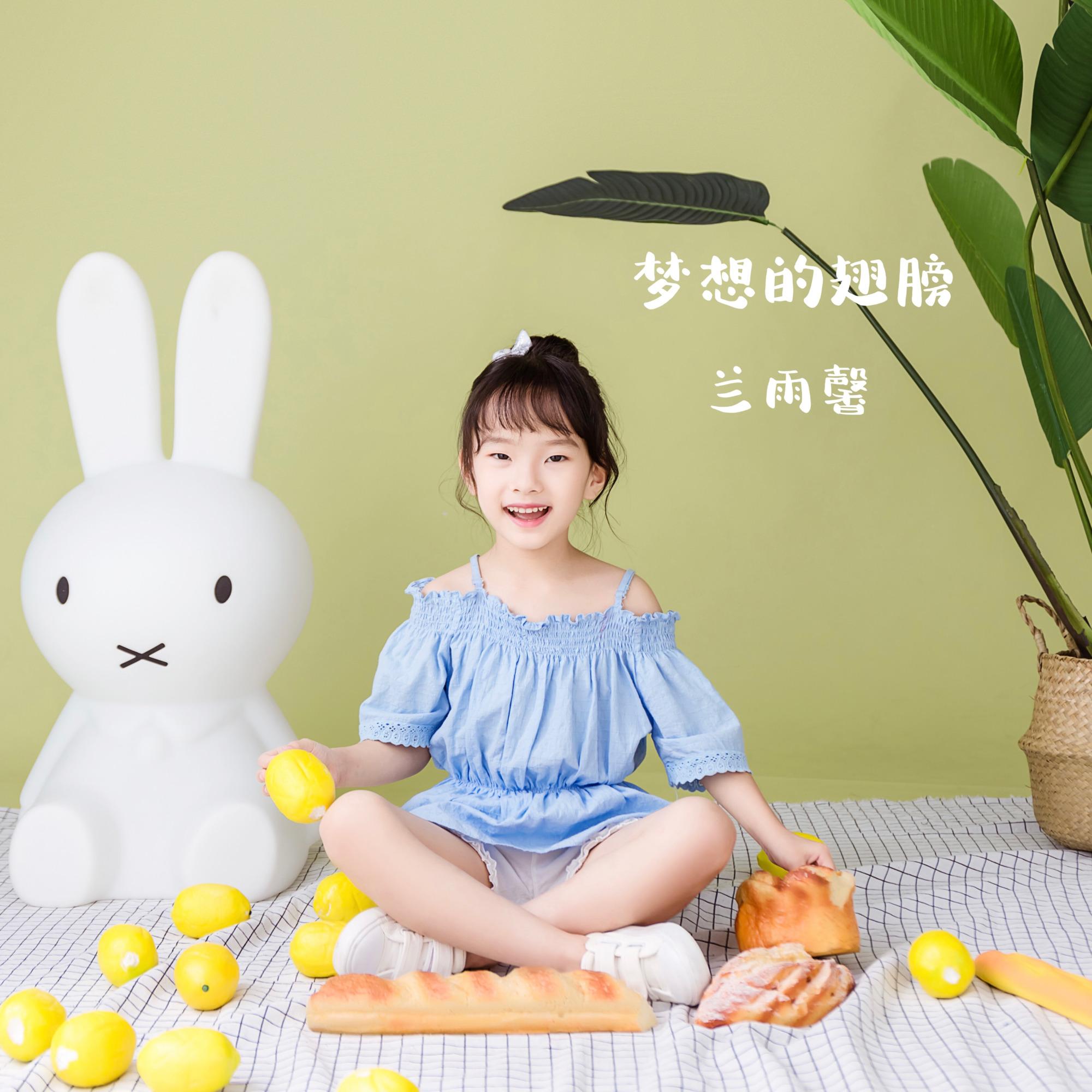 梦想的翅膀 (伴奏)封面