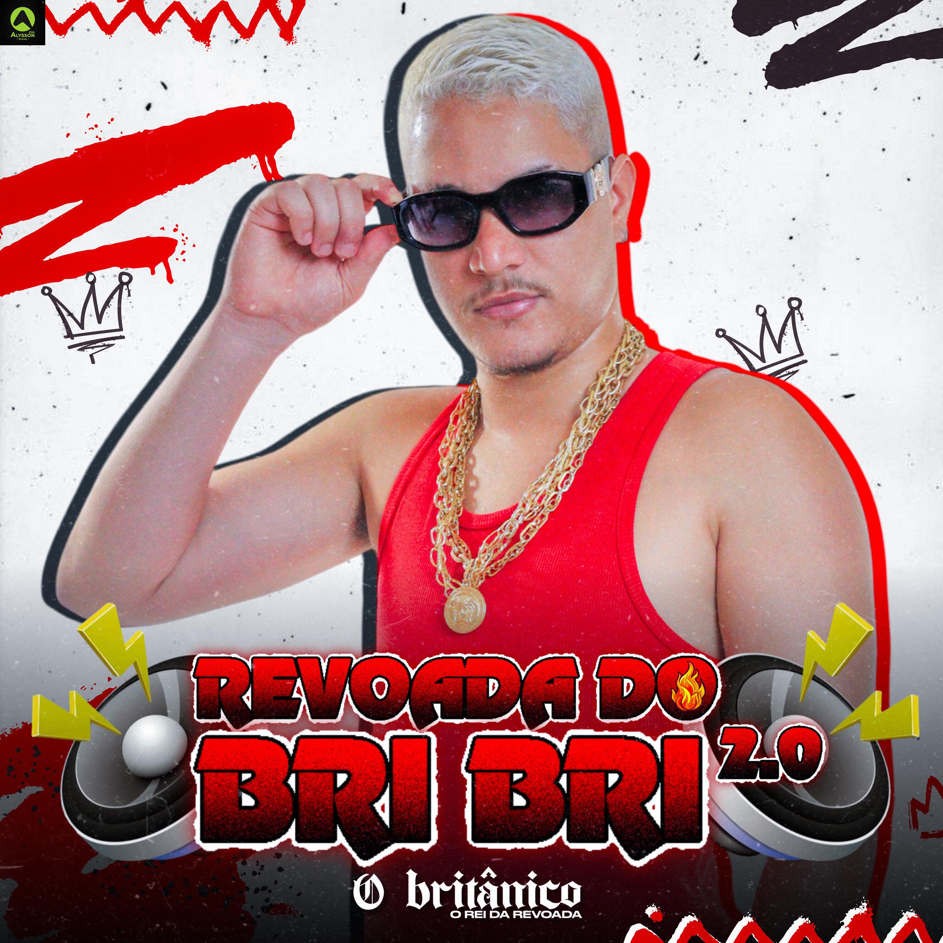 Bota Me Coloca (feat. Mc Branquinha)