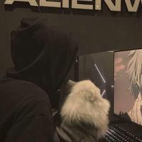DJ鑫鑫