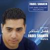 Fadel Shaker - Law Saalouk