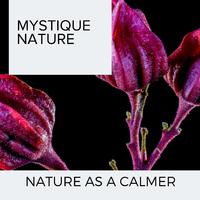 Mystique Nature - Nature As A Calmer