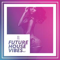 Future House Vibes, Vol. 17