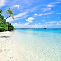Beach Jazz Playlist