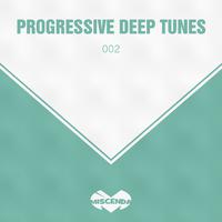 Progressive & Tech House, Vol. 2