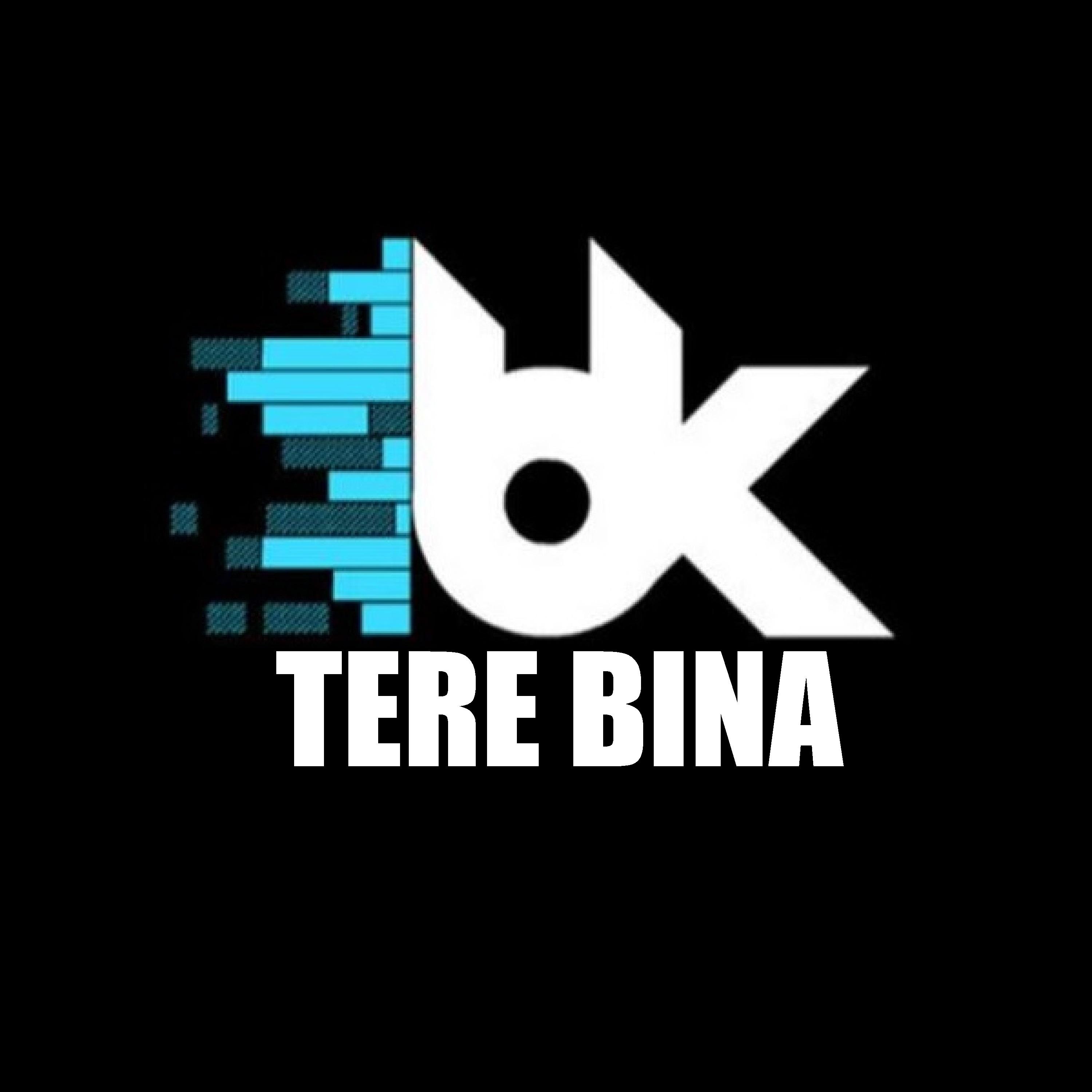Tere Bina