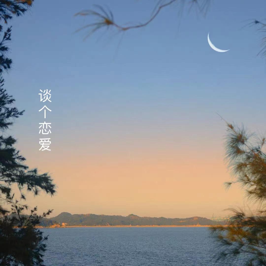 谈个恋爱封面