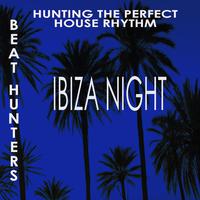 Ibiza Night (Beat Hunters)