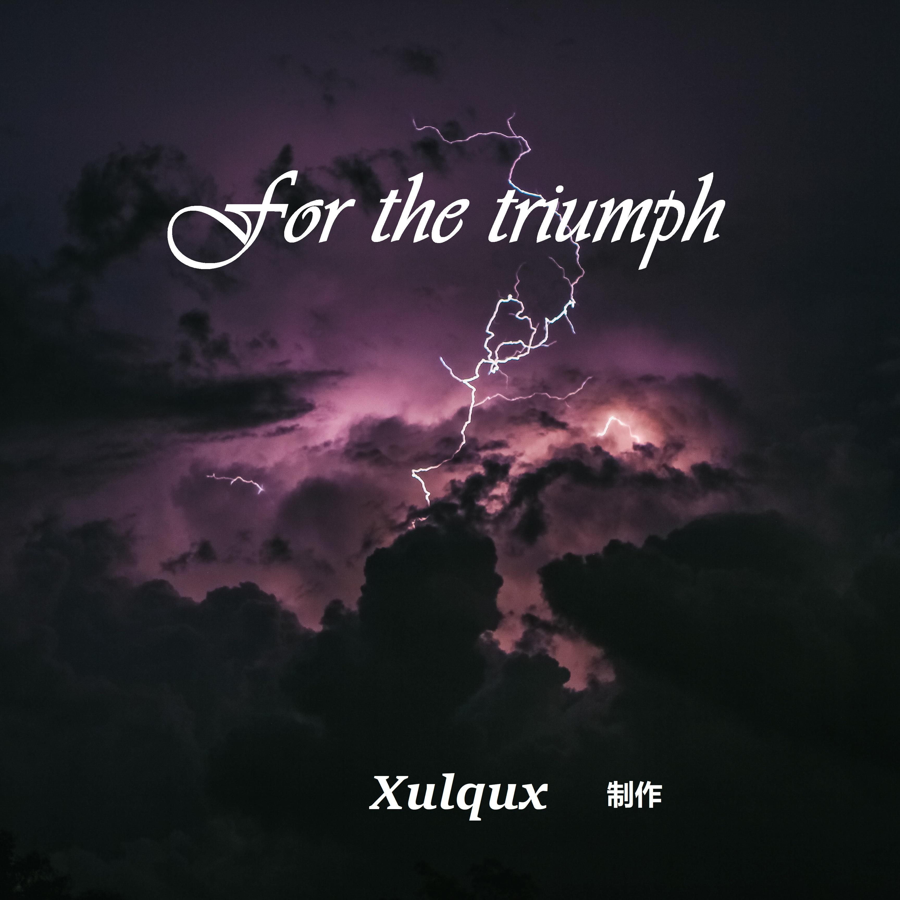 for the triumph (为了胜利)封面