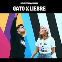 GATO x LIEBRE - periquezumba merengue (feat. Juan Miguel)