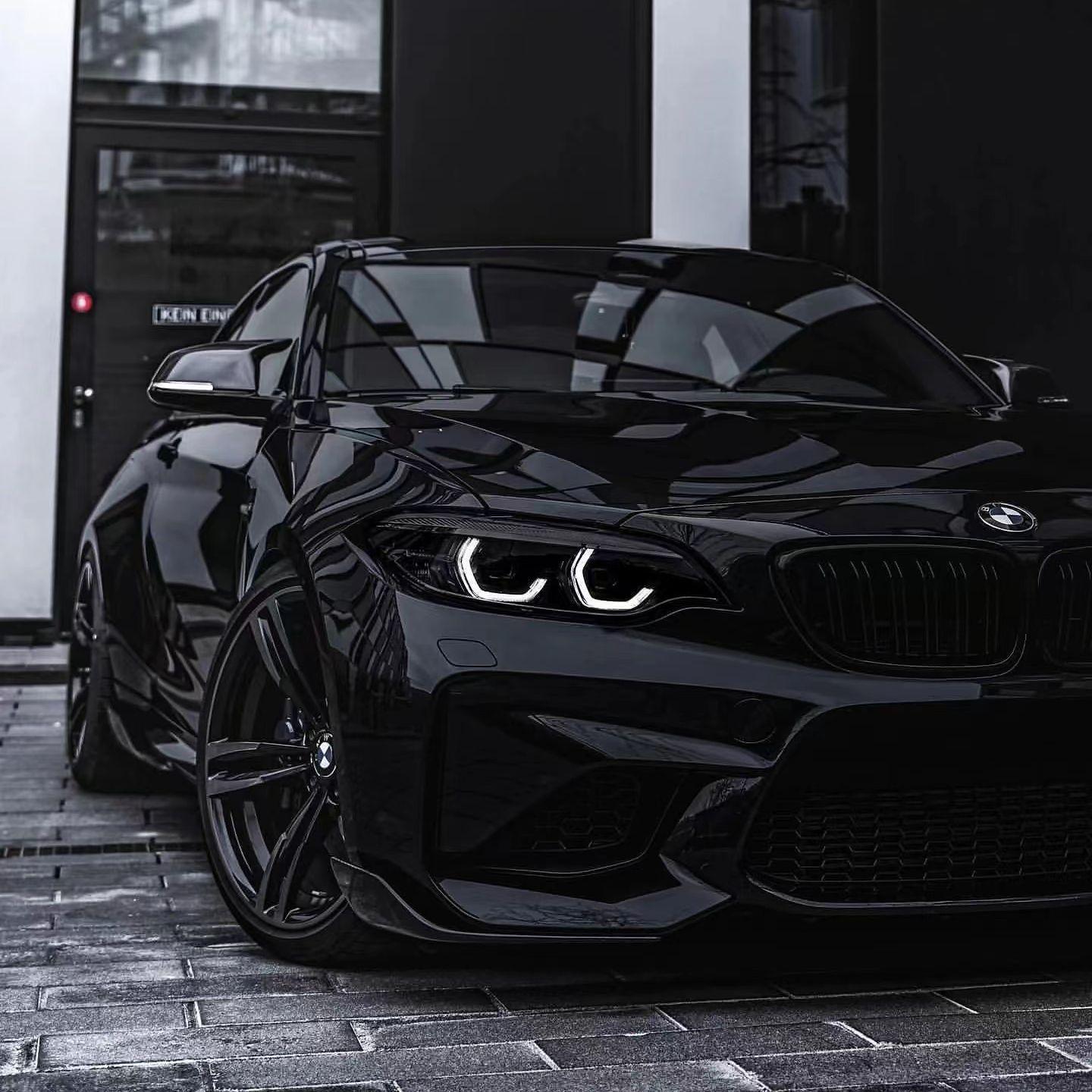 Bohemian (String释放)