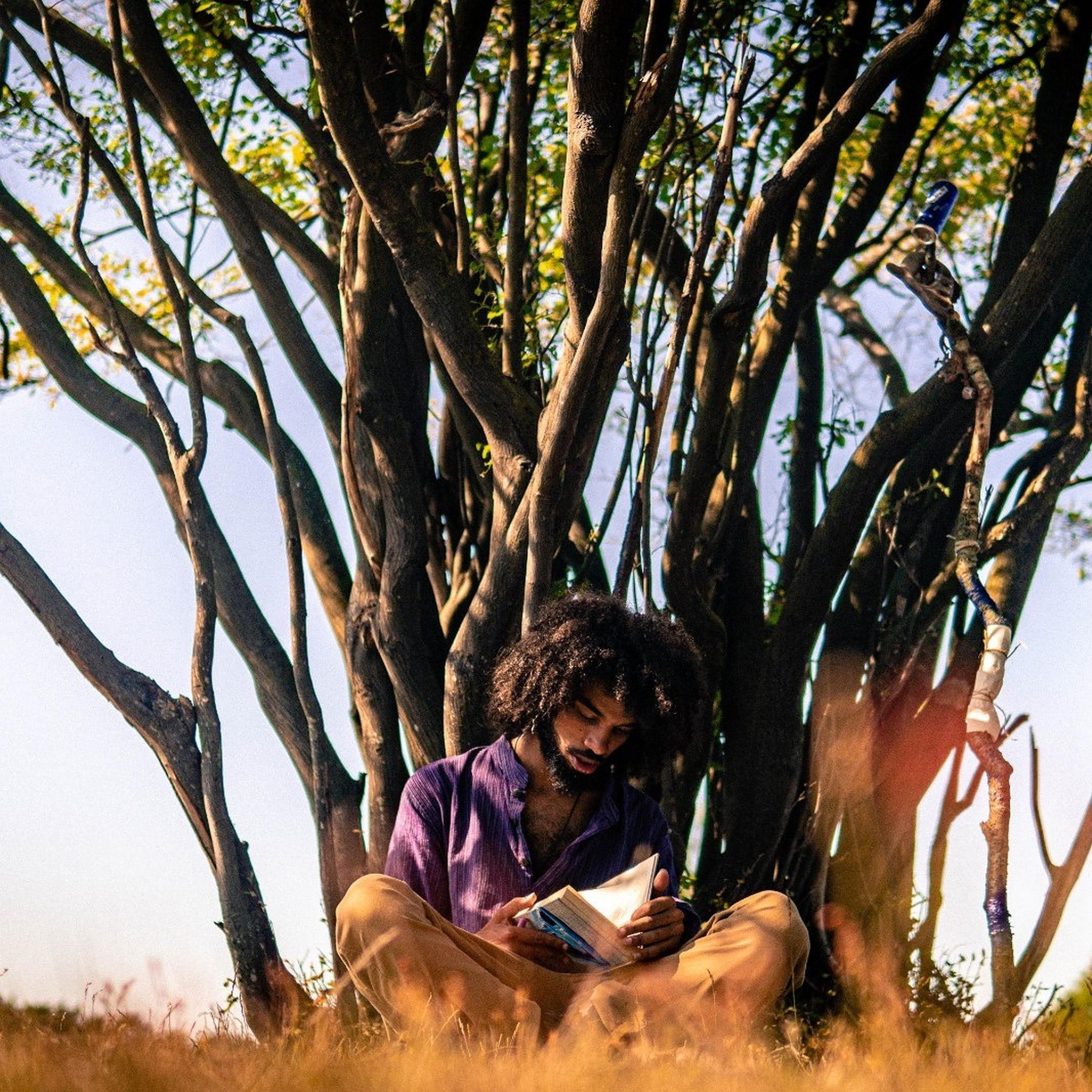 Emerald Dreams (Lapsung Remix)