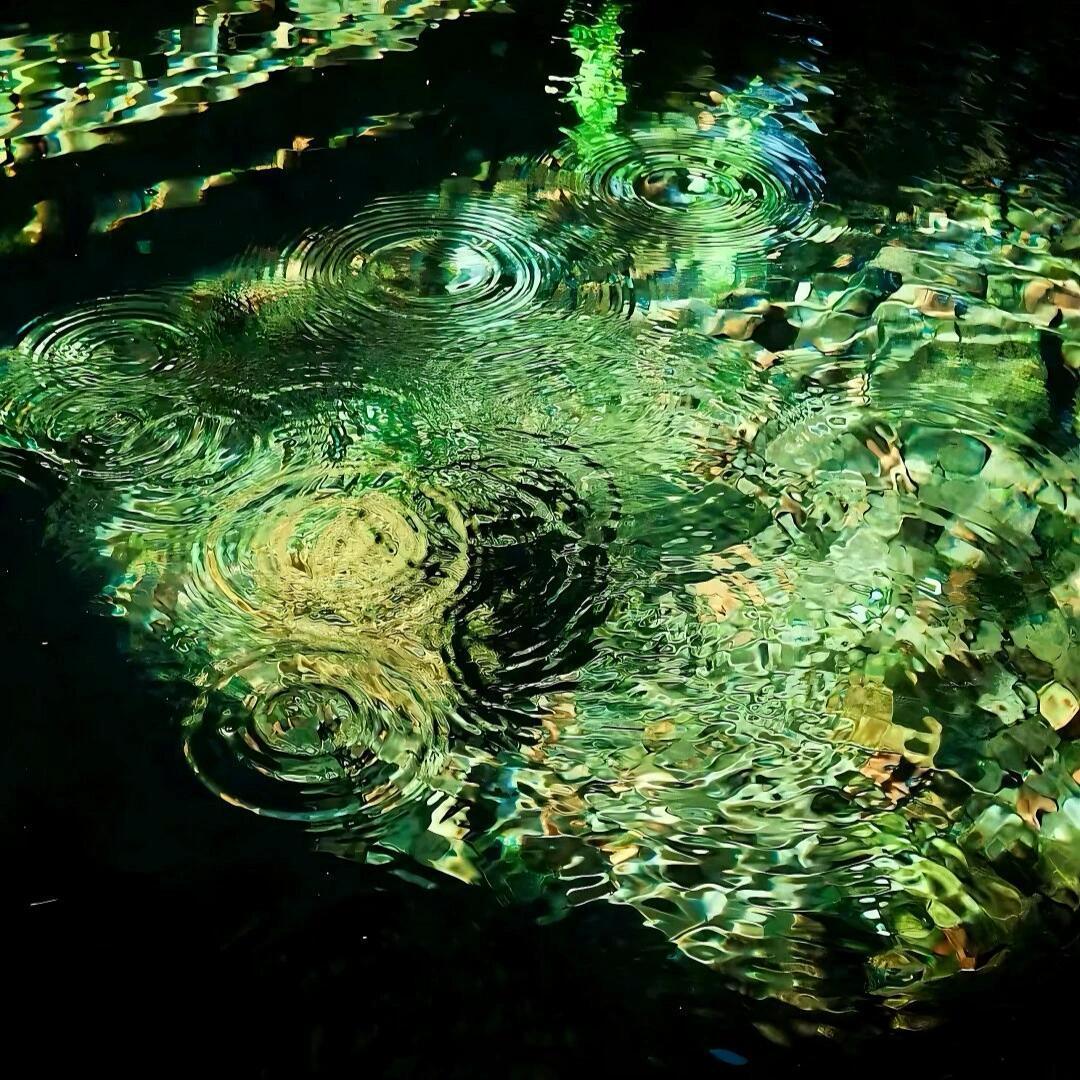 飘飘的落花如流水封面