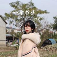 一介书生