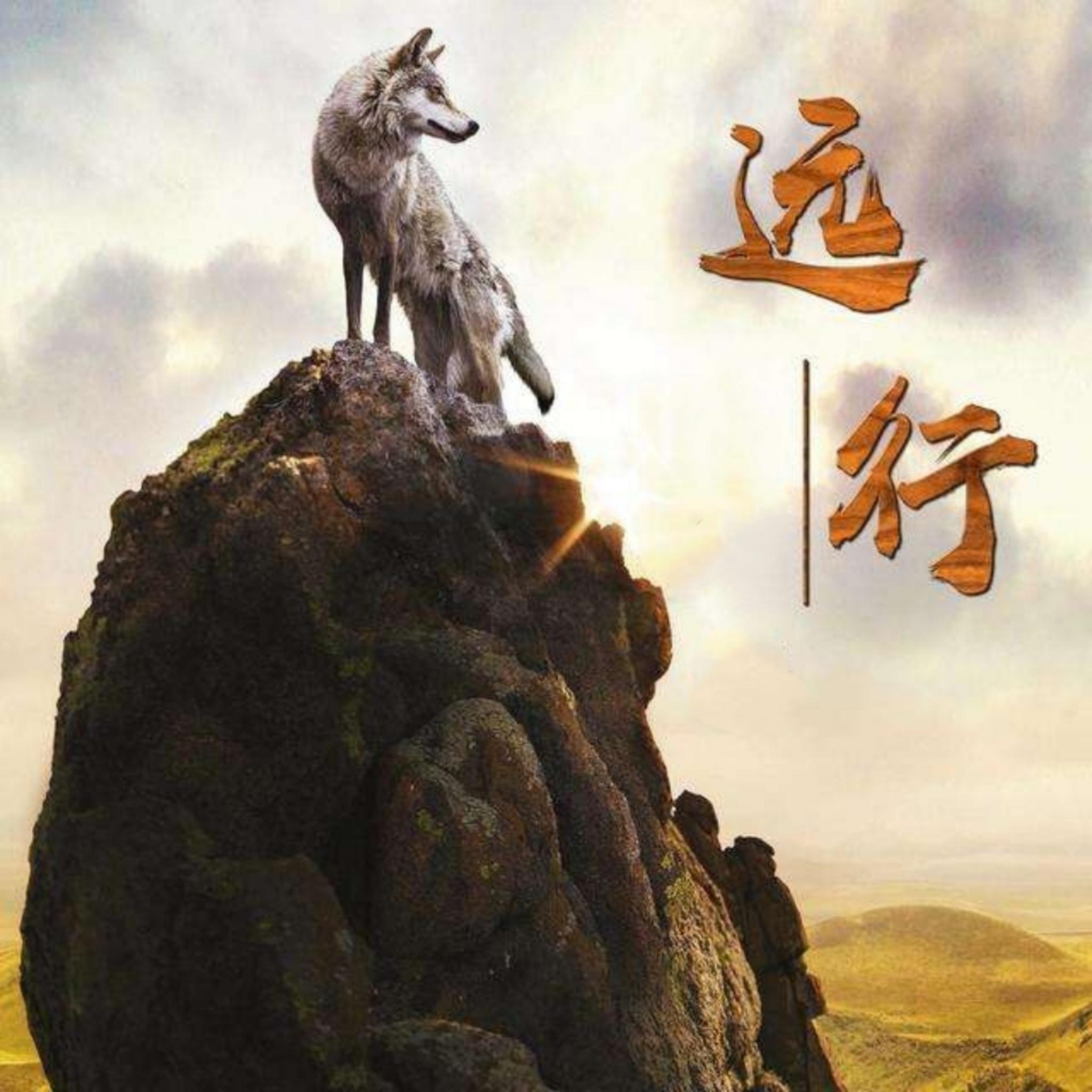 爱过那个你 (DJ热播版)封面